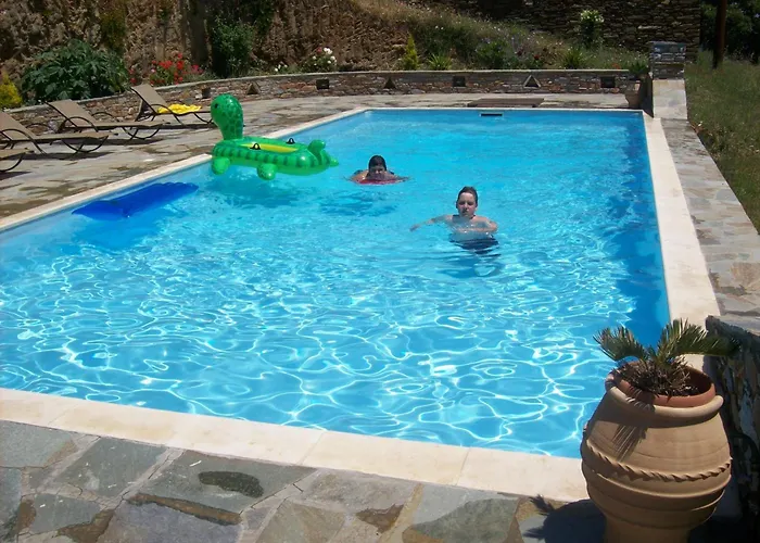 Vassiliki Apartamento Ándros