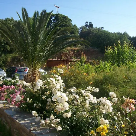 Apartament Vassiliki Ándros
