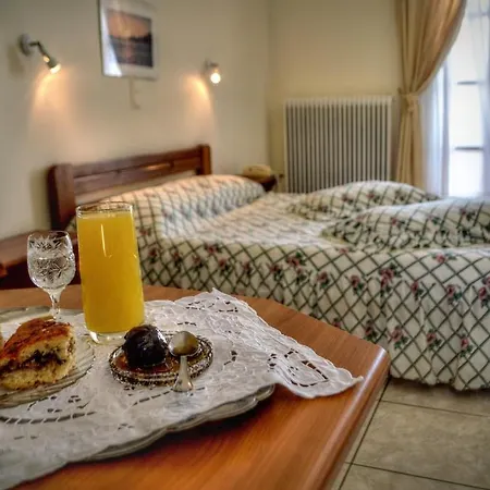 Vassiliki Apartment Andros Town