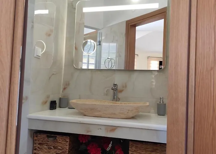 Vassiliki Appartement *